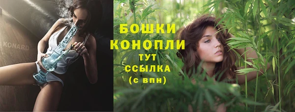 хмурый Каменка