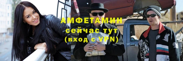 хмурый Каменка
