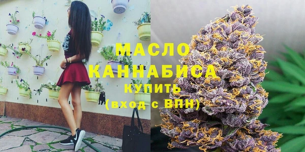 хмурый Каменка