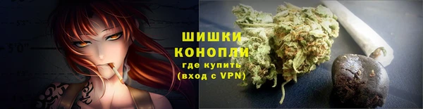 хмурый Каменка