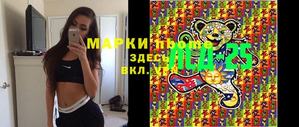 хмурый Каменка