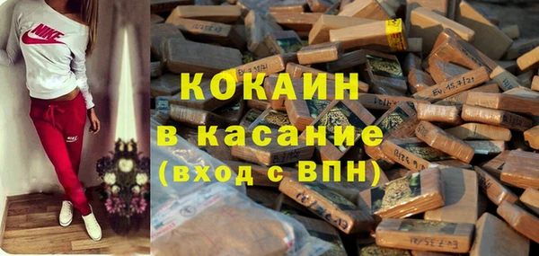хмурый Каменка