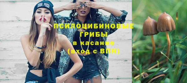 хмурый Каменка