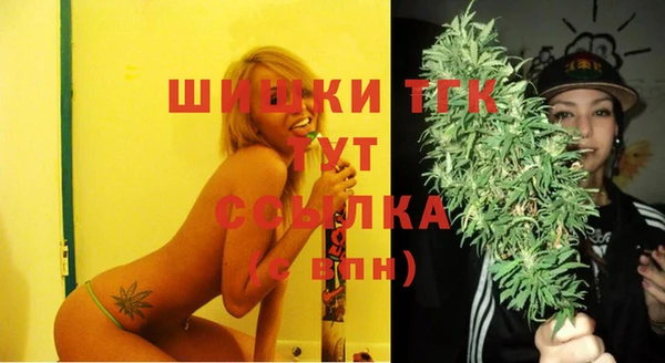 молекула духа Ессентукская