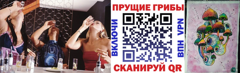 Галлюциногенные грибы Psilocybine cubensis  Купить где  Славск 